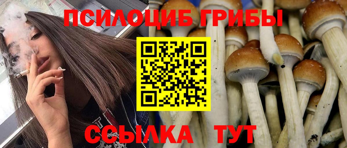 Сланцы  Псилоцибиновые грибы MAGIC MUSHROOMS  купить закладку  Вход с VPN  Галлюциногенные грибы MAGIC MUSHROOMS 